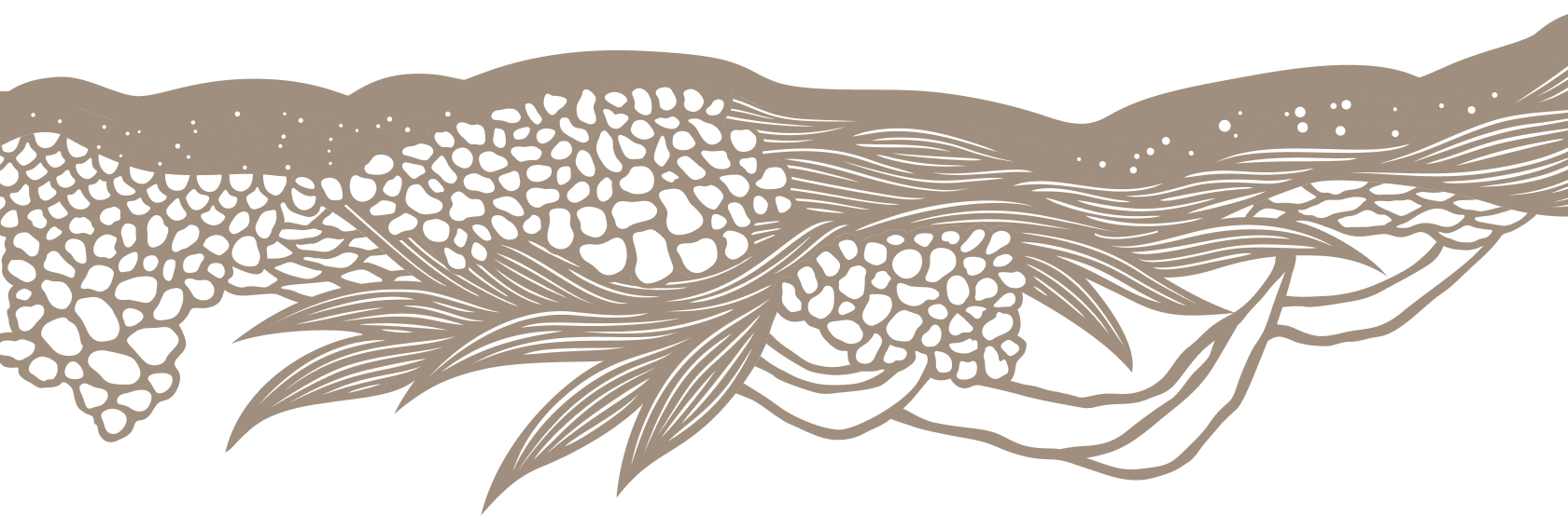 Page Header Image